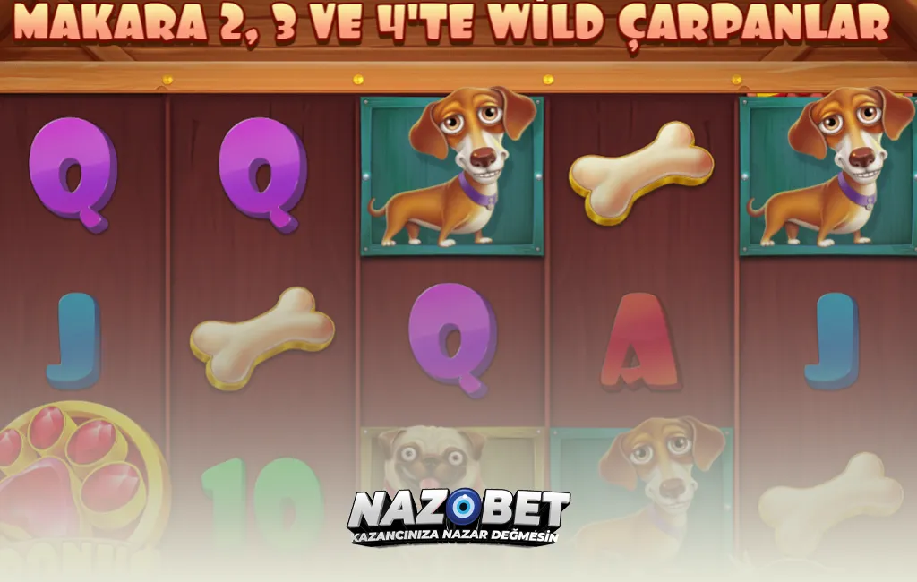 Nazobet The Dog House